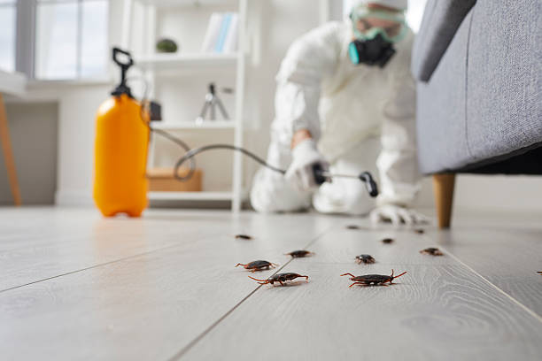 Post-Treatment Bed Bug Interceptor Monitoring in Bingham Farms