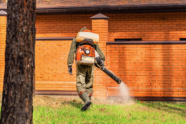 Bed Bug Clearance Verification and Documentation in Bingham Farms